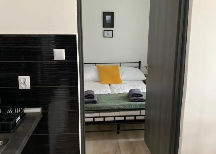 Lesna Plaza Apartment *