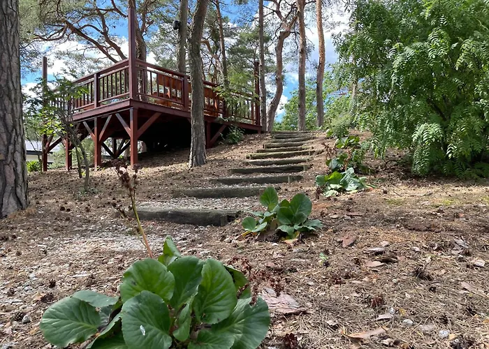 Lesna Plaza Apartment *